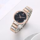 Rolex Acnos Watch For Women (SW1317)